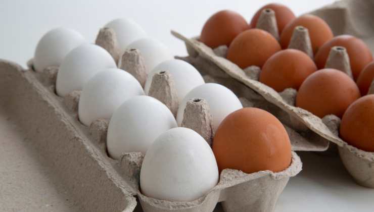 Uova bianche e marroni quali comprare al supermercato